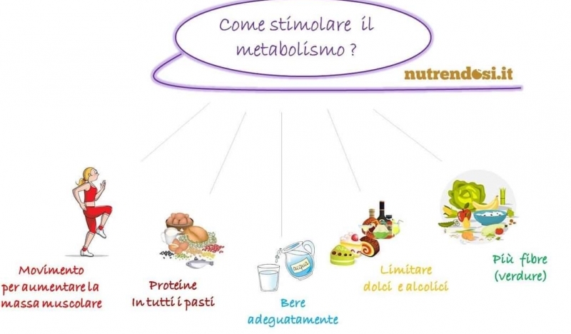 stimolaremetabolismo