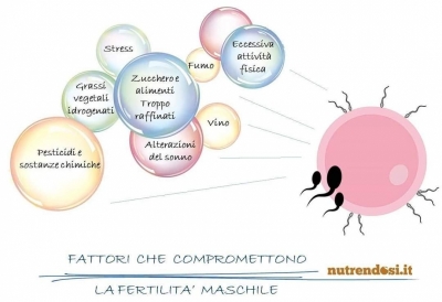 fattori che compromettono la fertilità maschile