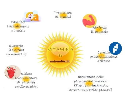 funzioni della vitamina D